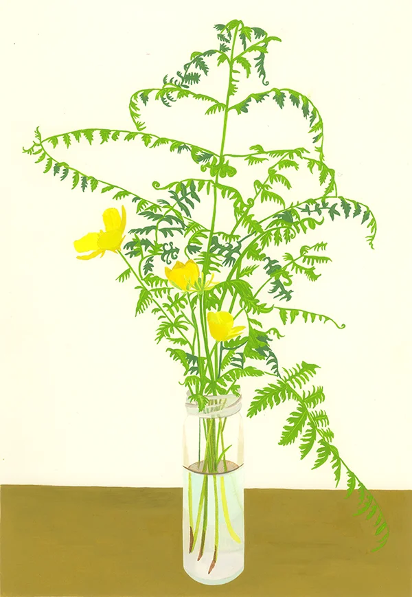 porter_fern_x600.jpg