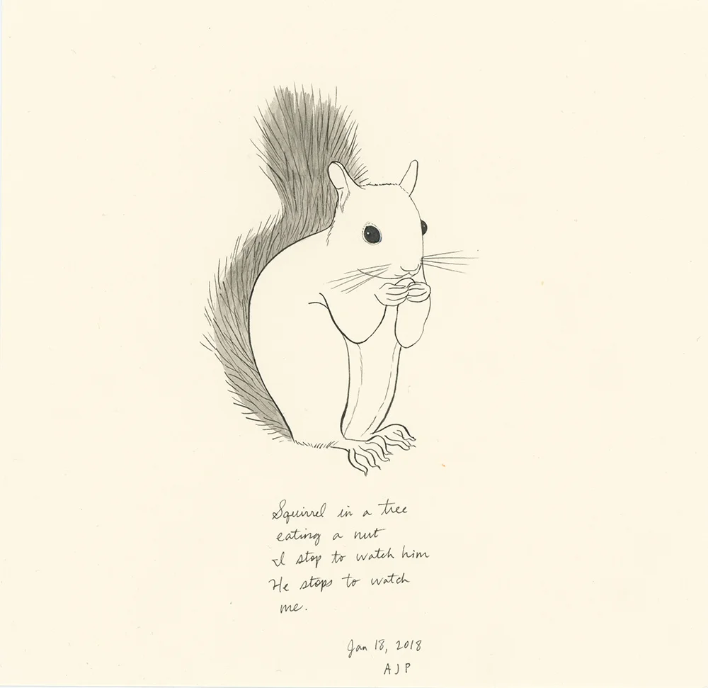 ajp_squirrel-nut_x1000web.jpg