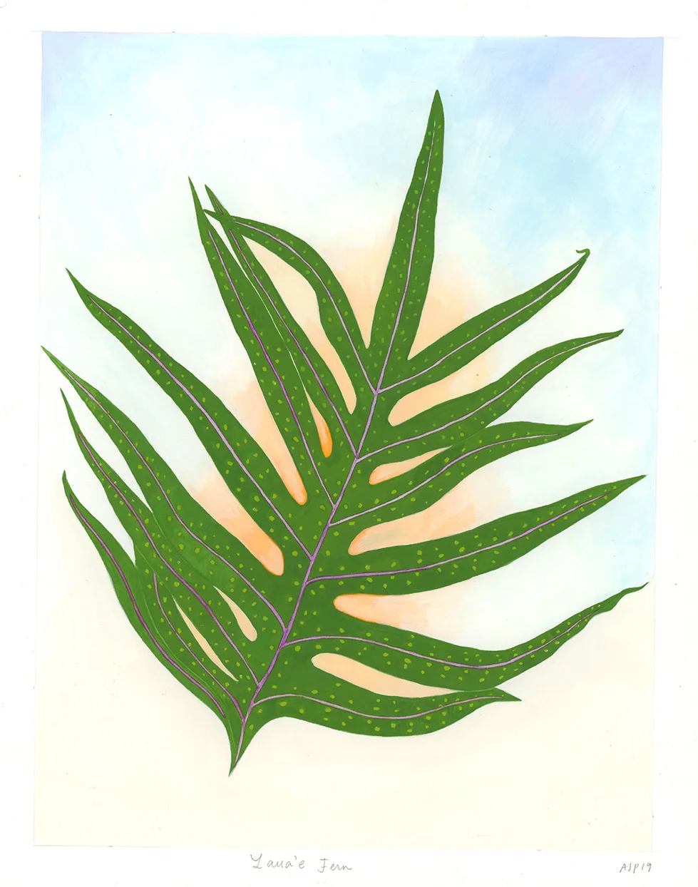 Laua'e Fern