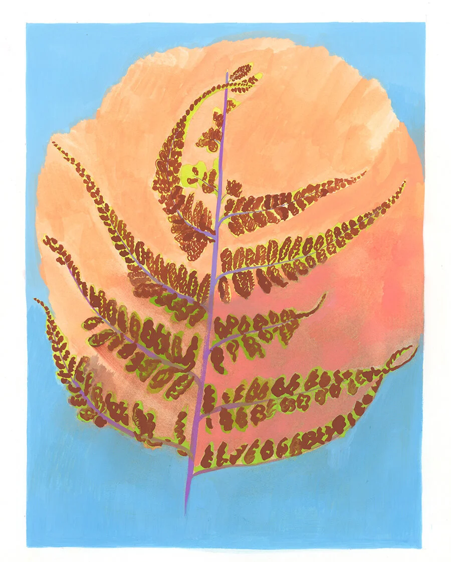 Study to a Plant in Space (Japanese Fern)