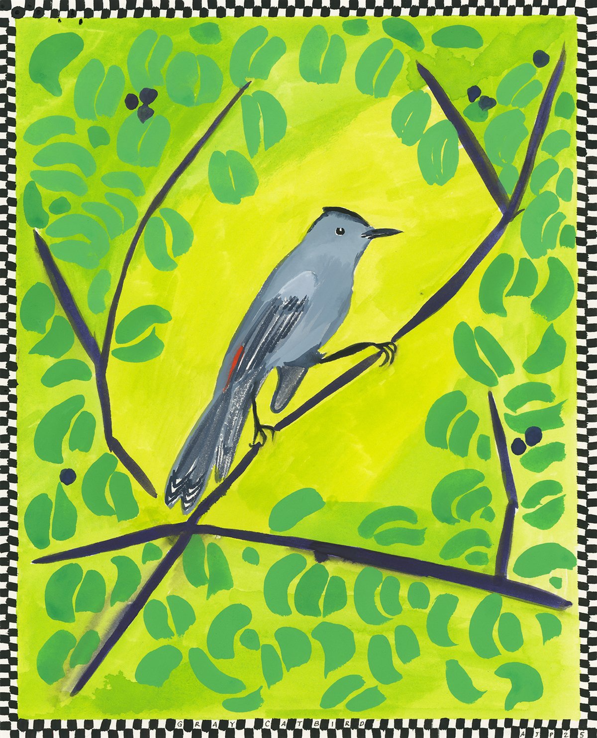 Gray Catbird