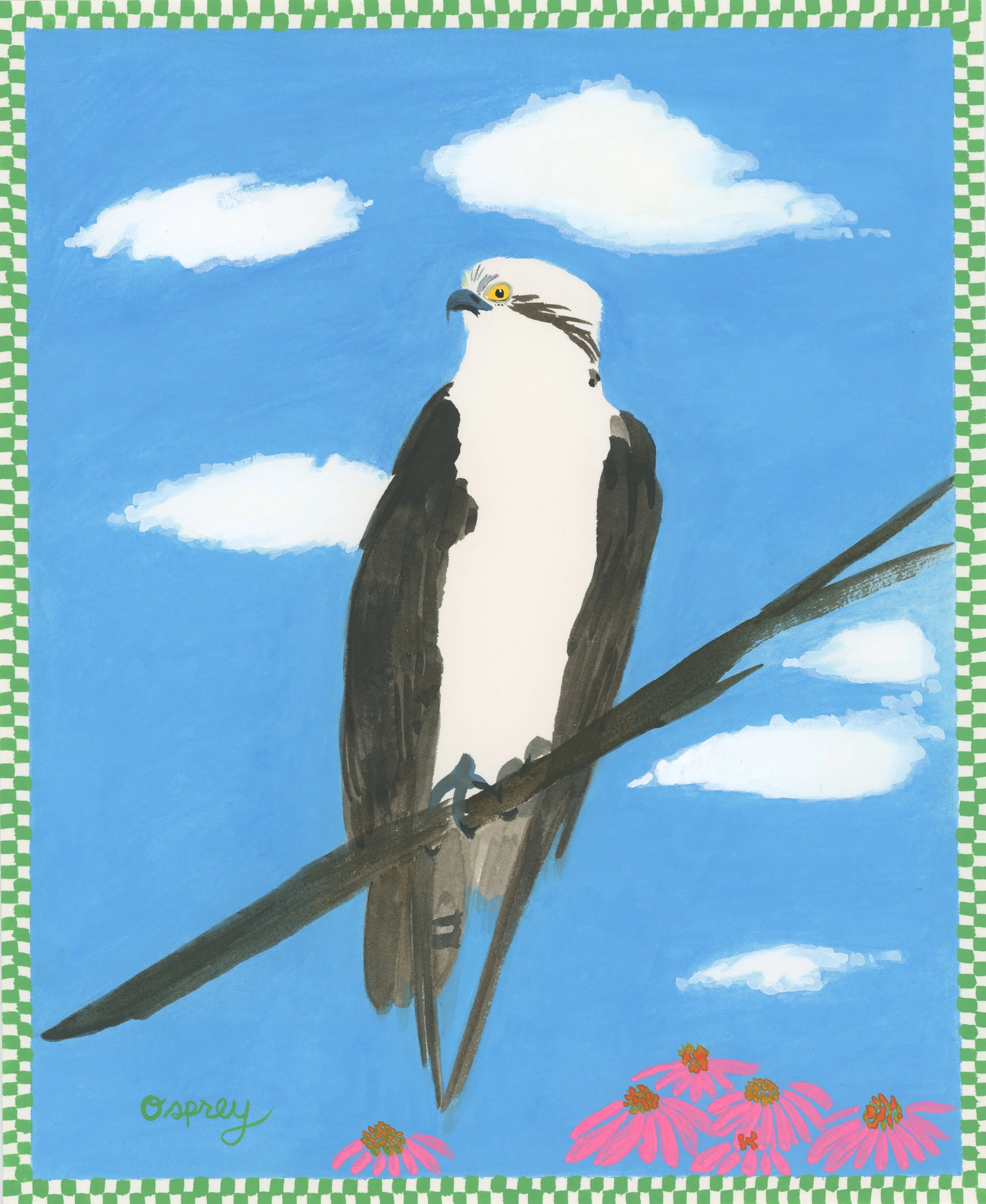Osprey