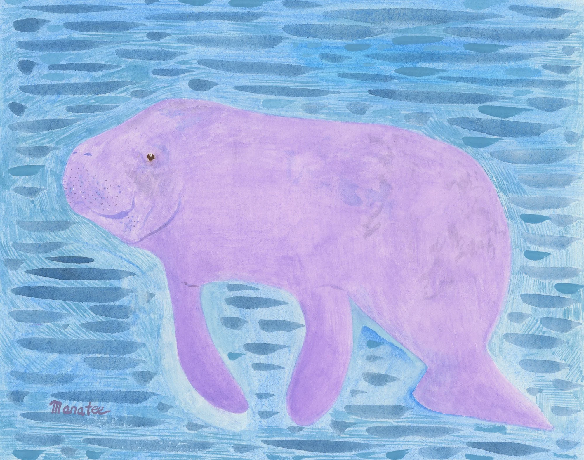 Manatee
