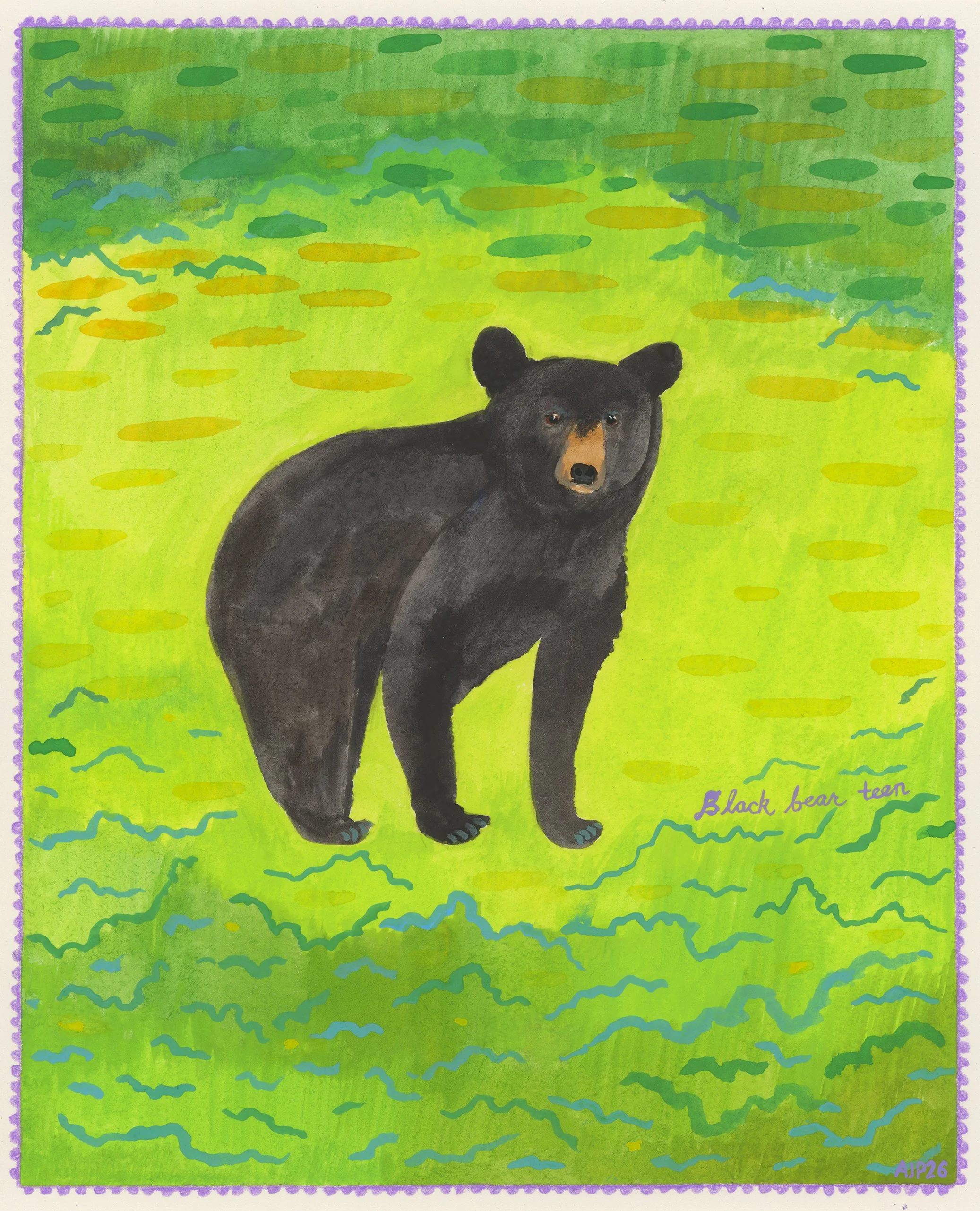 Black Bear Teen