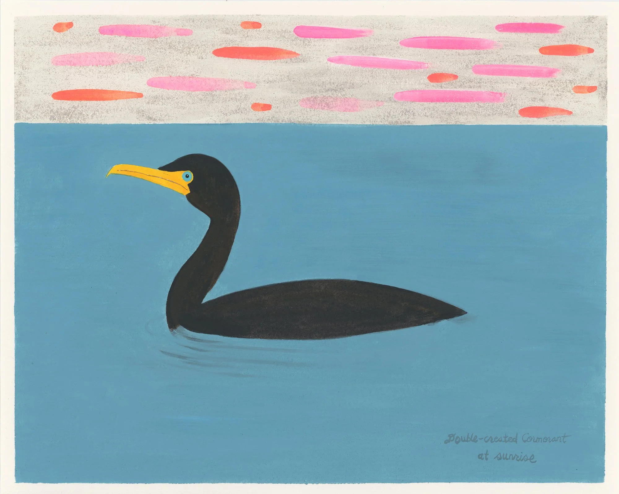 Double-crested Cormorant