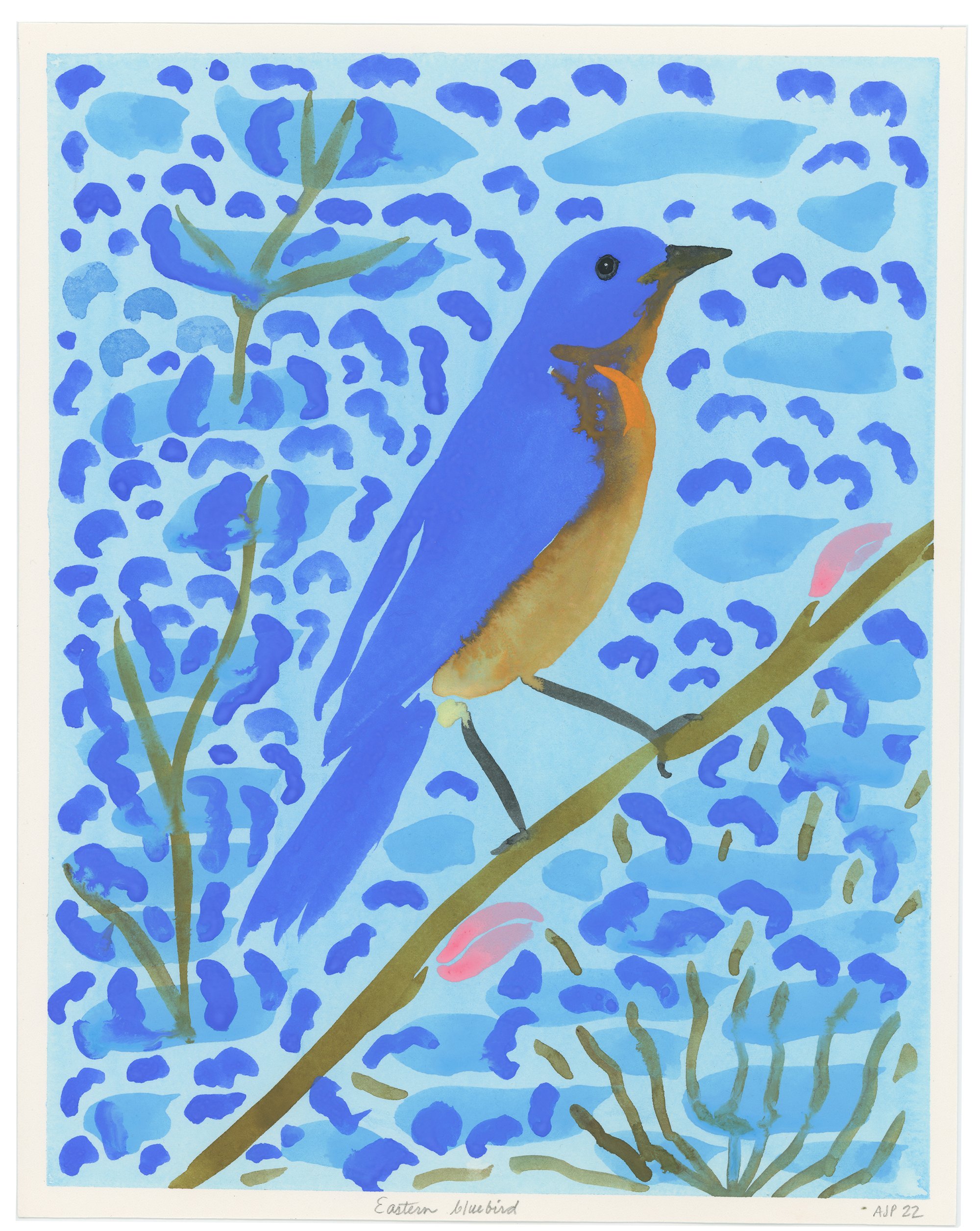 Eastern Bluebird