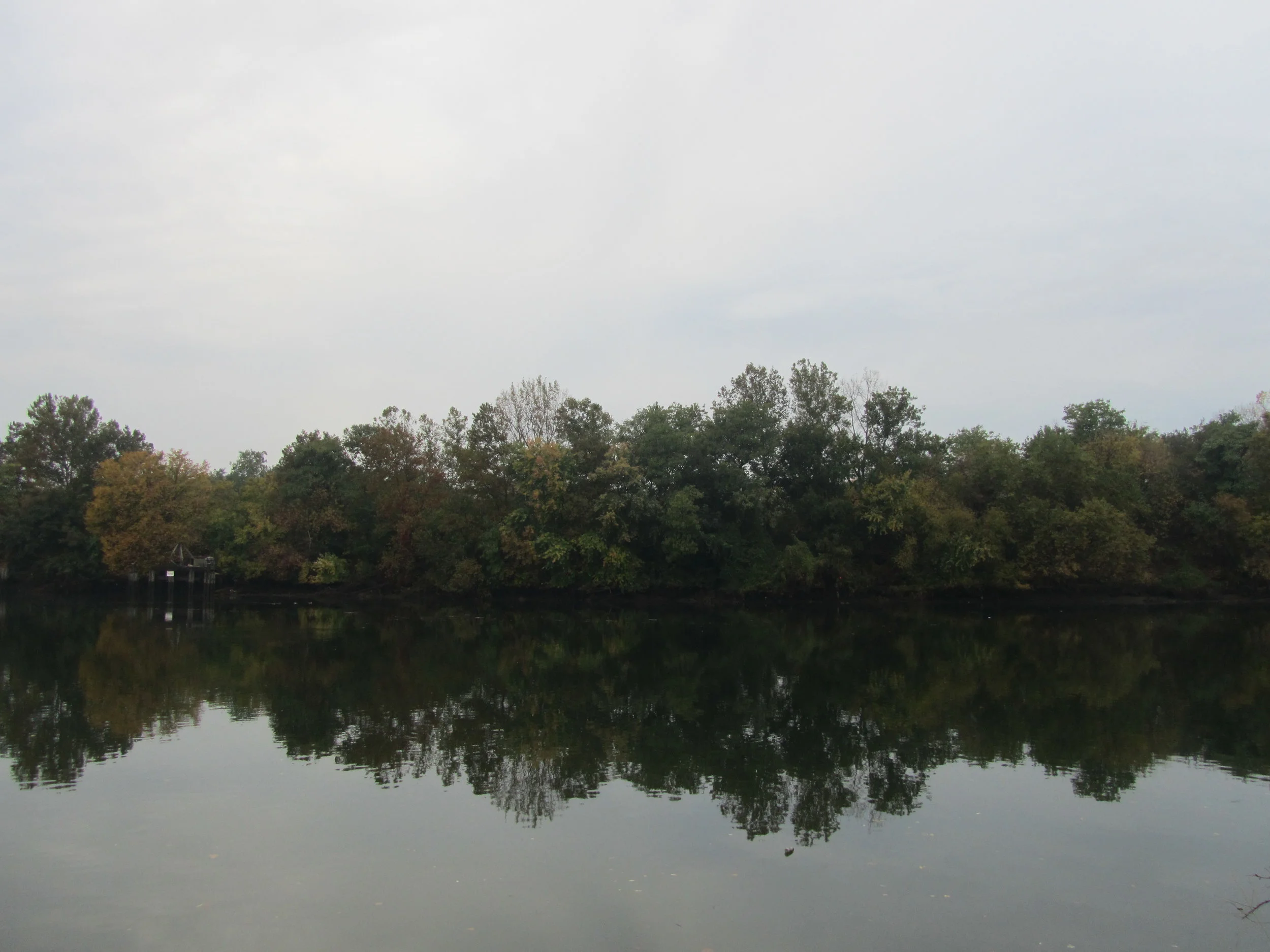 Bartram’s Garden Arboretum