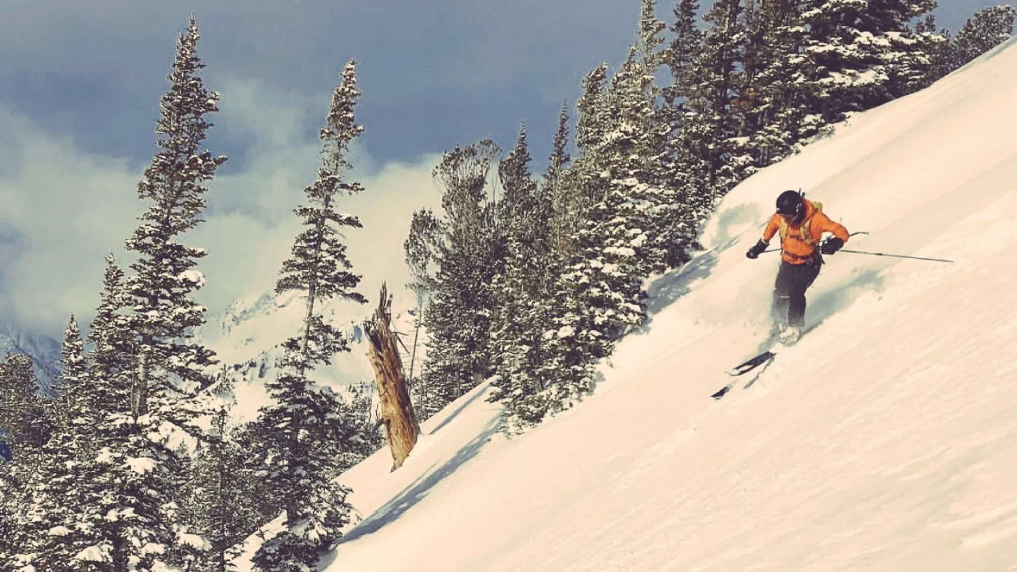 File Feb 28, 5 30 01 PM.jpeg