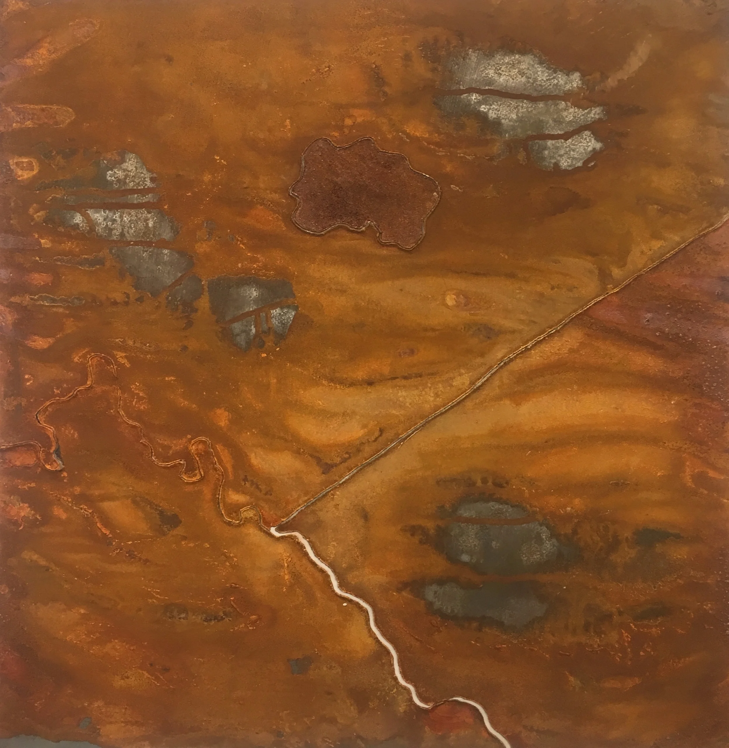 JOURNEY TO LAKE EYRE #1