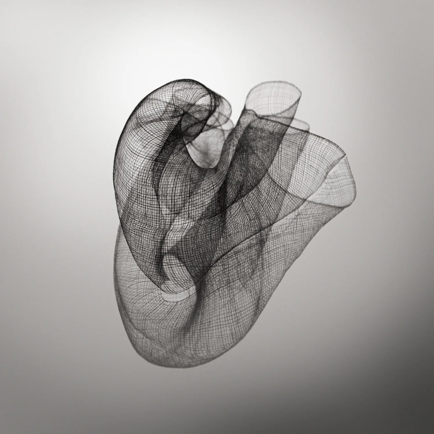 Aorta