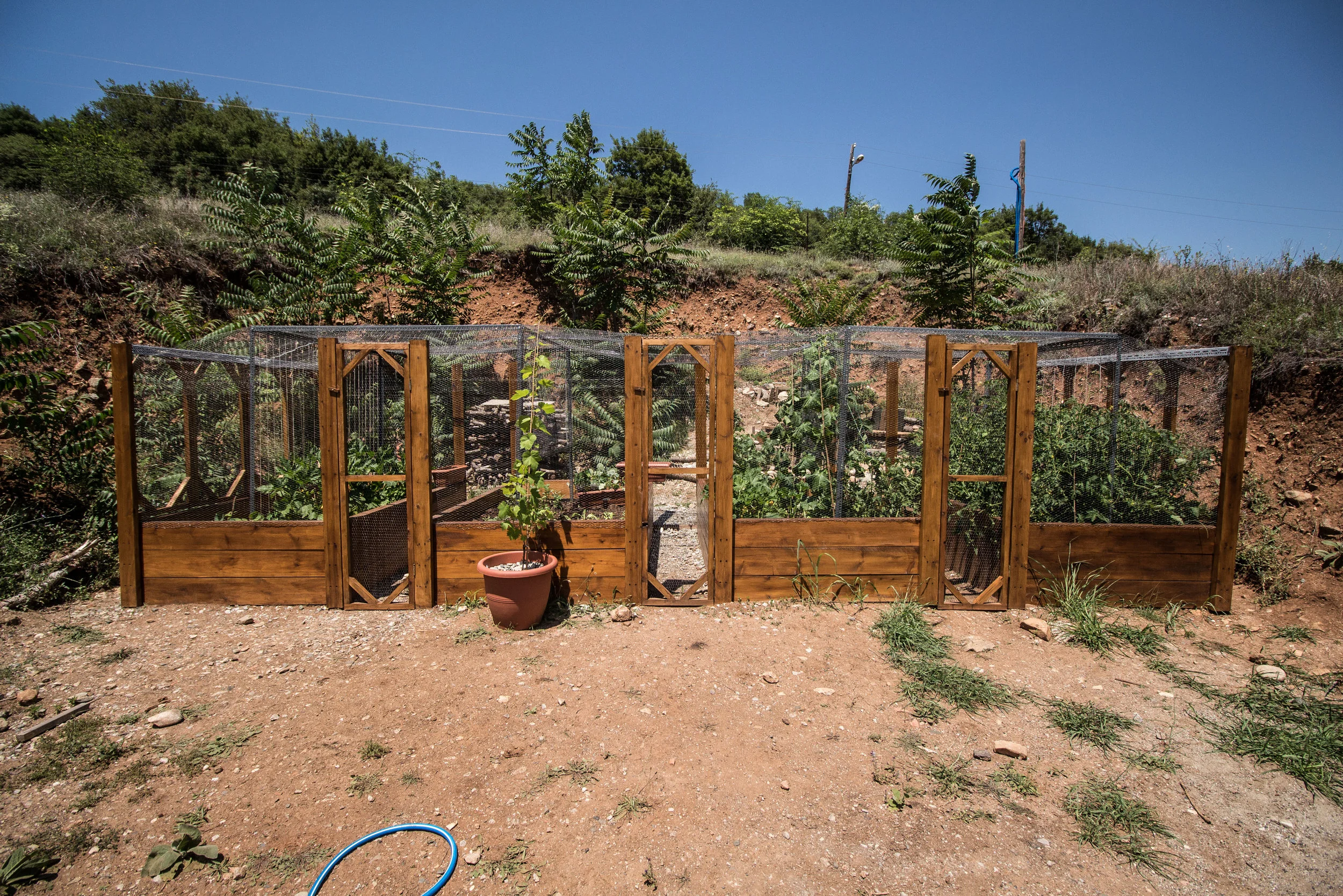 Here's the finished piece. Mouloukhia, yellow Courgettes, green Courgettes, Aubergines (Eggplant for the Americans!), Mint, Grapevine, Tomatoes of varying sizes, Cucumbers and Beans and of course the herbs in the forage patch. A project of love, collaboration and hard work. Thank you to all those involved, the residents have already started harvesting some of the fruits of the labour and it looks great! 