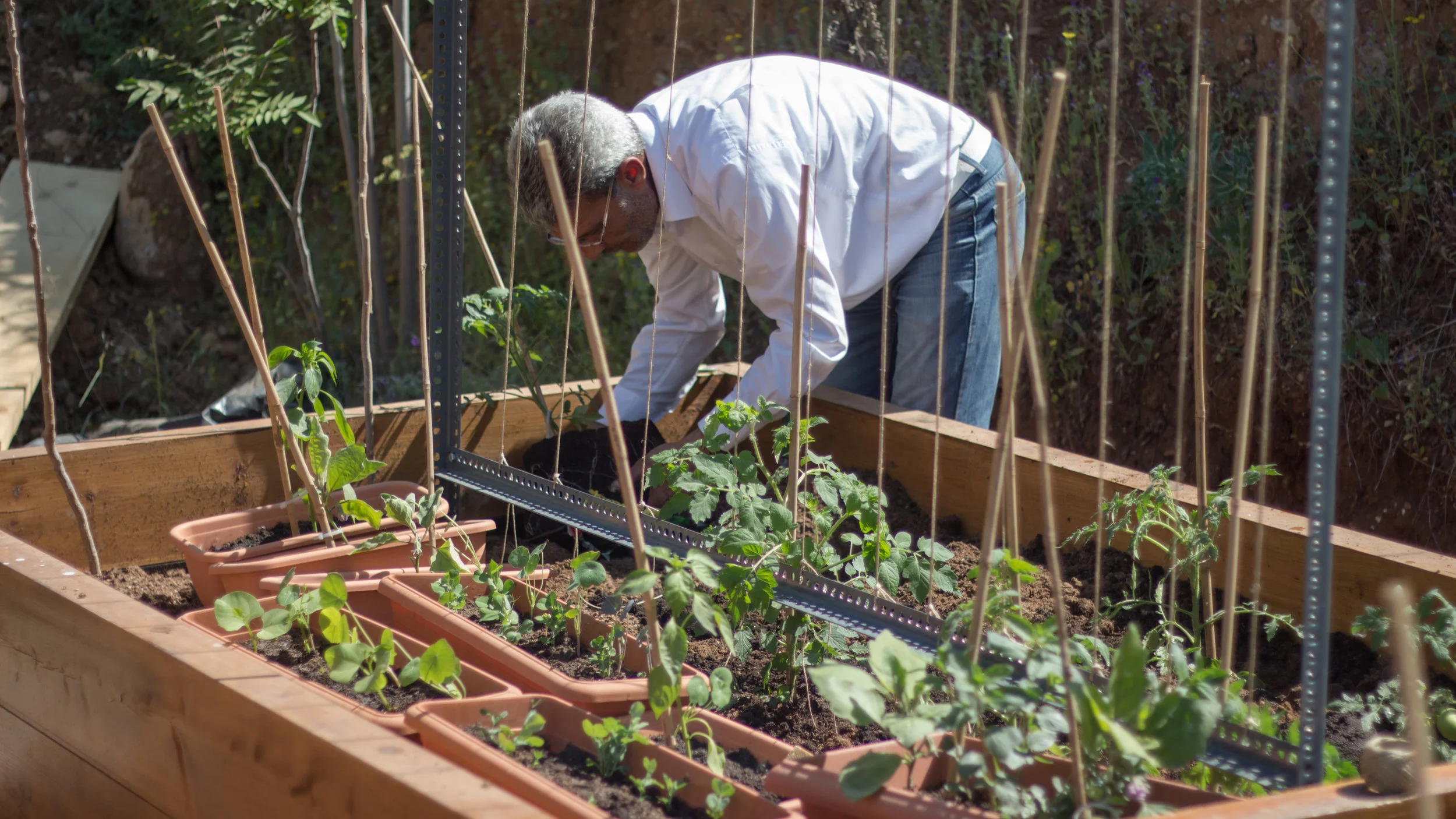 Mousa, one of the residents, planting