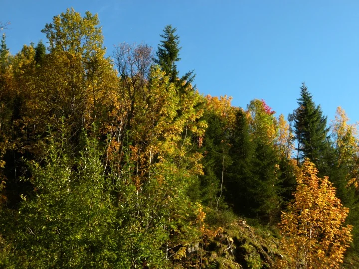 P1280739dz.jpg