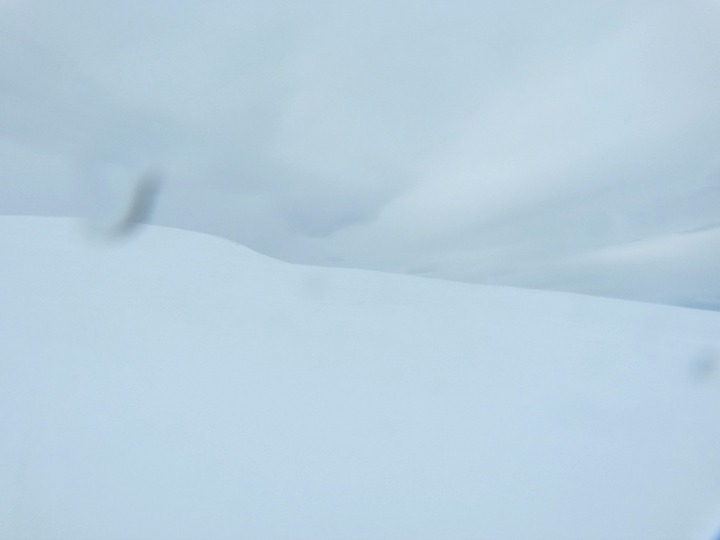 Arctic Adventures