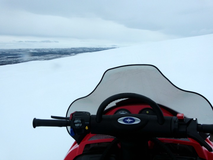 Arctic Adventures