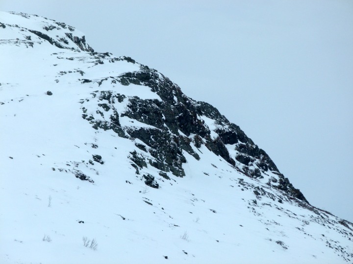 Arctic Adventures