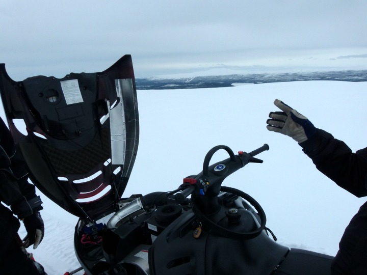 Arctic Adventures