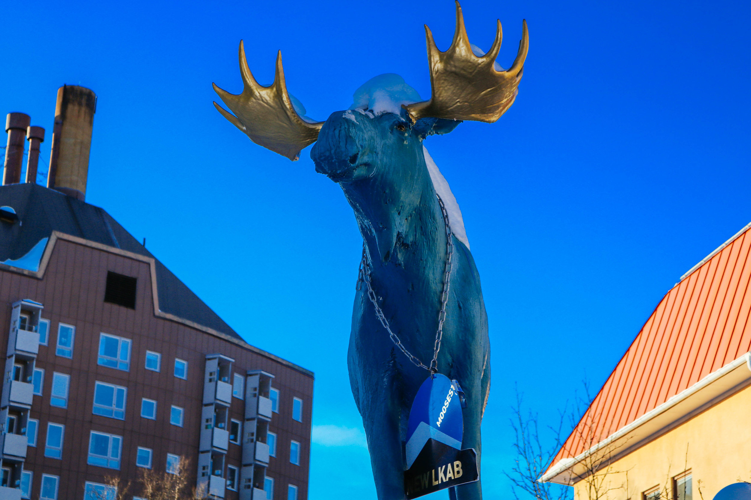 kiruna on a budget