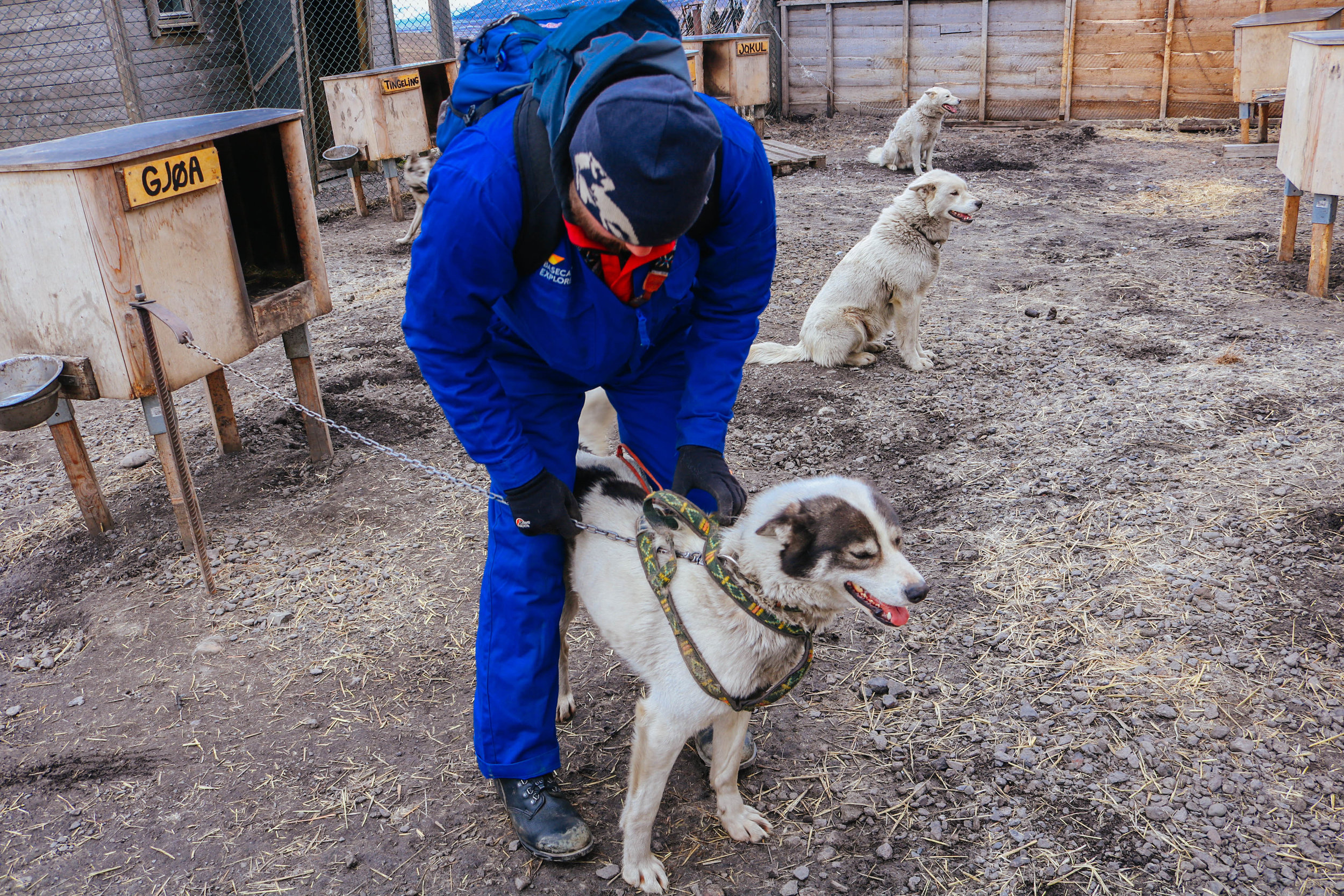 summer dog-sledding svalbard basecamp explorer