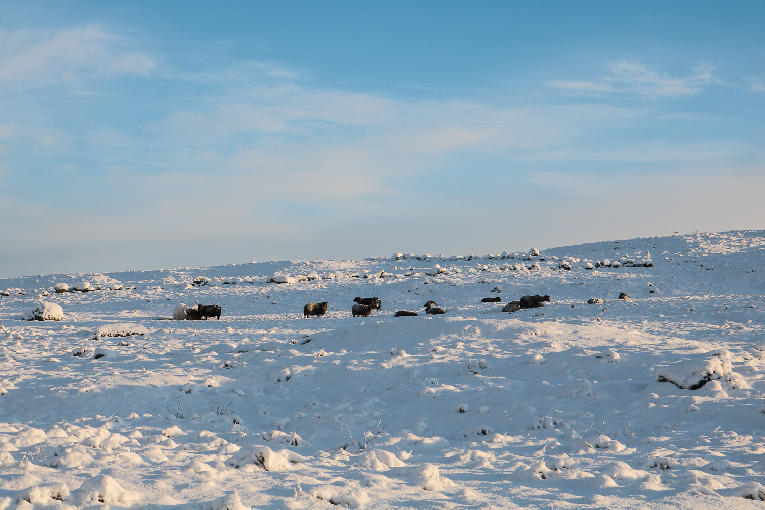 Visit Stavanger in Winter
