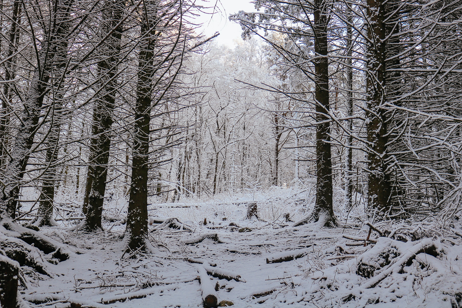 Visit Stavanger in Winter