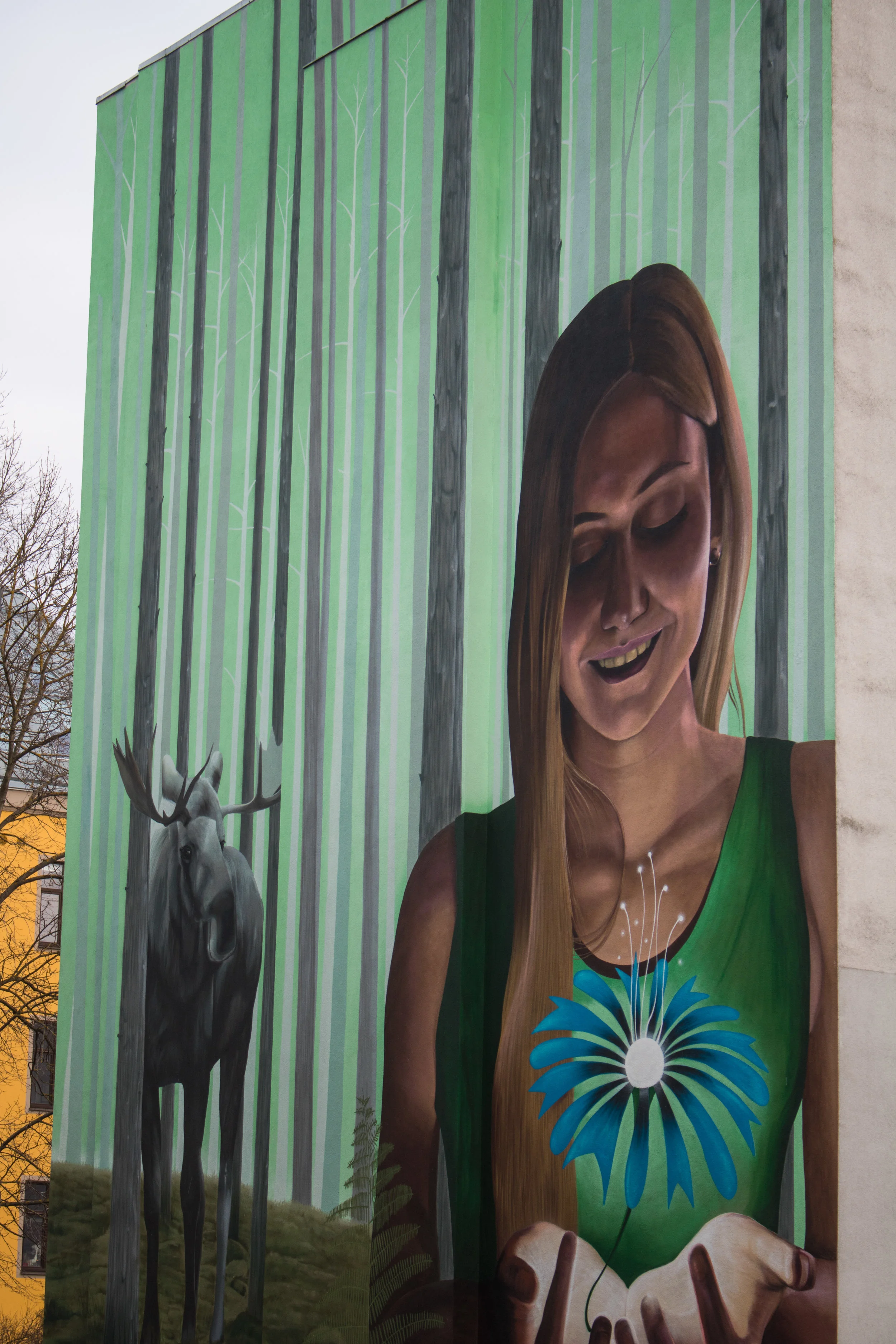 kalamaja street art.jpg