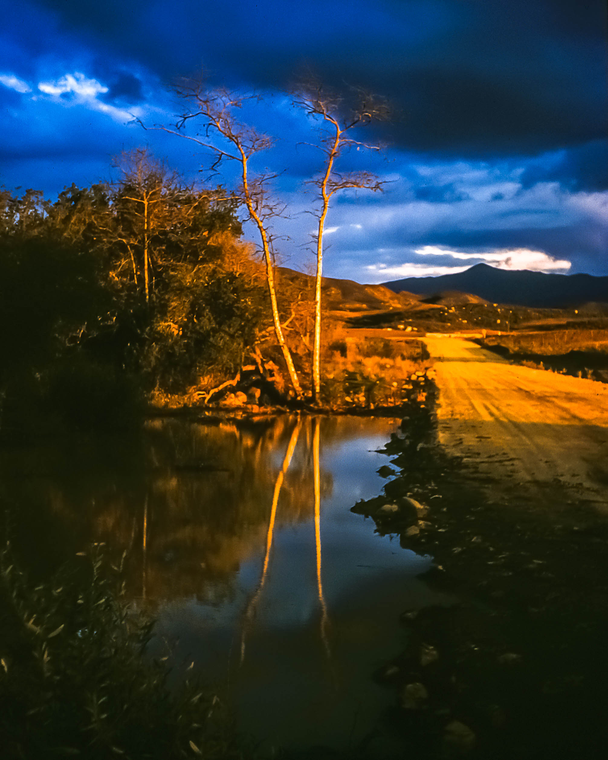 Landscape