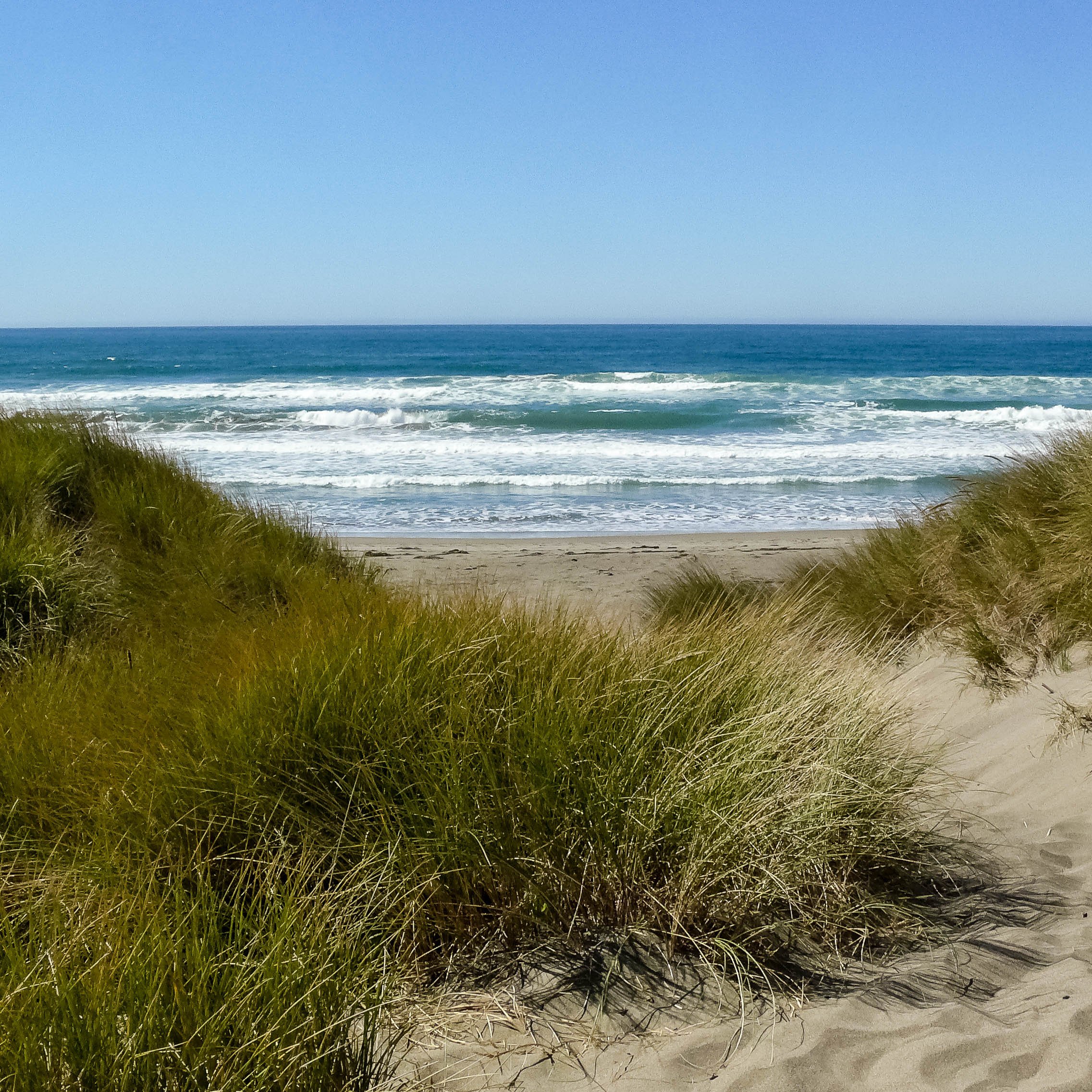 Salmon Creek beach, California
