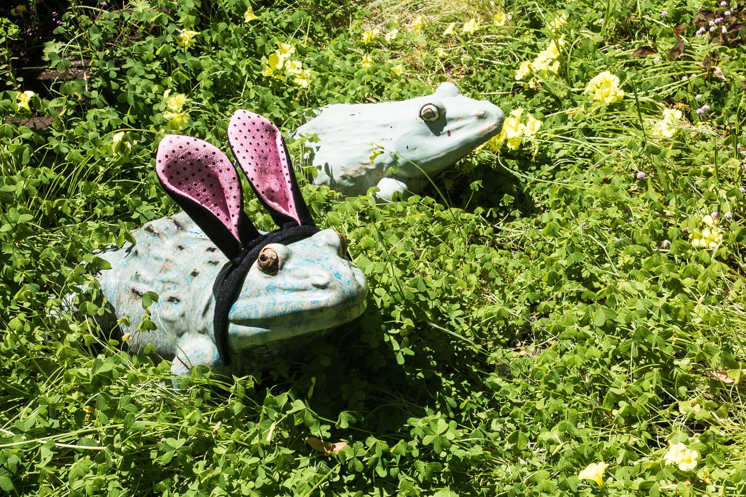The Easter Frog.