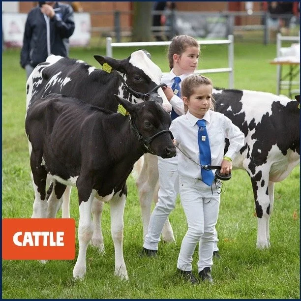 Royal Norfolk Show - 29th &amp; 30th June 2022
