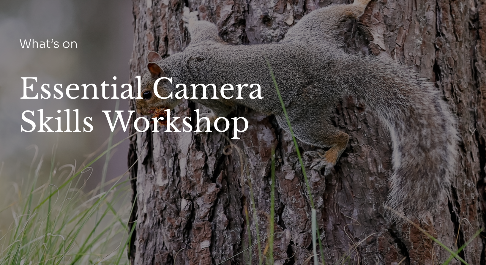 Essential Camera Skills Workshop at Holkham - 25th February,  25th March,  23rd April