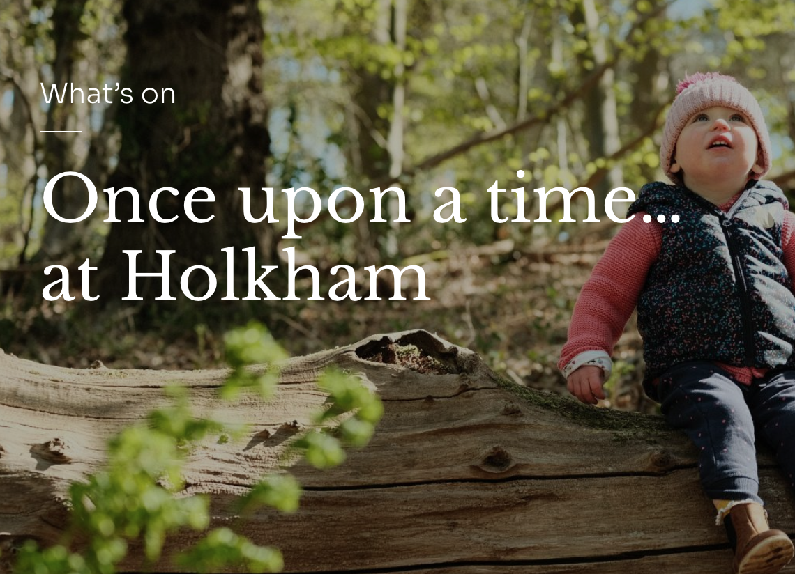 'Once upon a Time' - February Half Term at Holkham