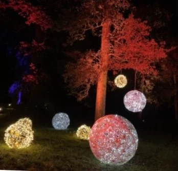 Sandringham Winter Light Trail - Luminate Sandringham