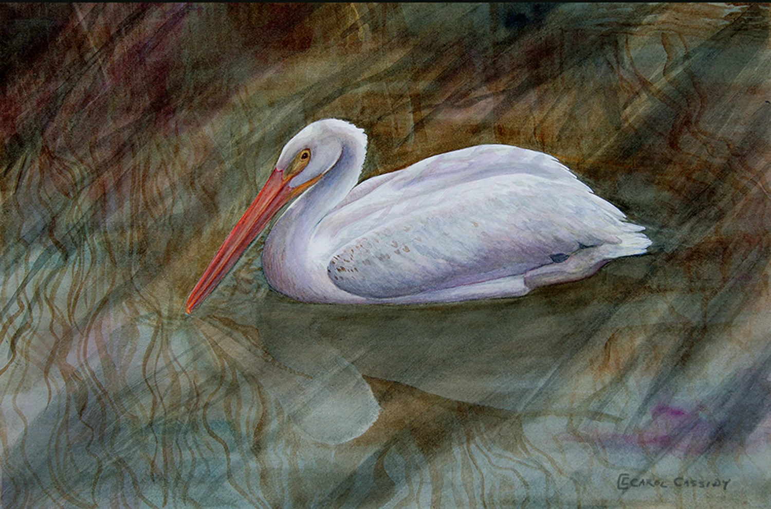 sq sp White Pelican.jpg
