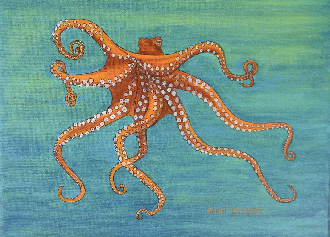 Dancing Octopus