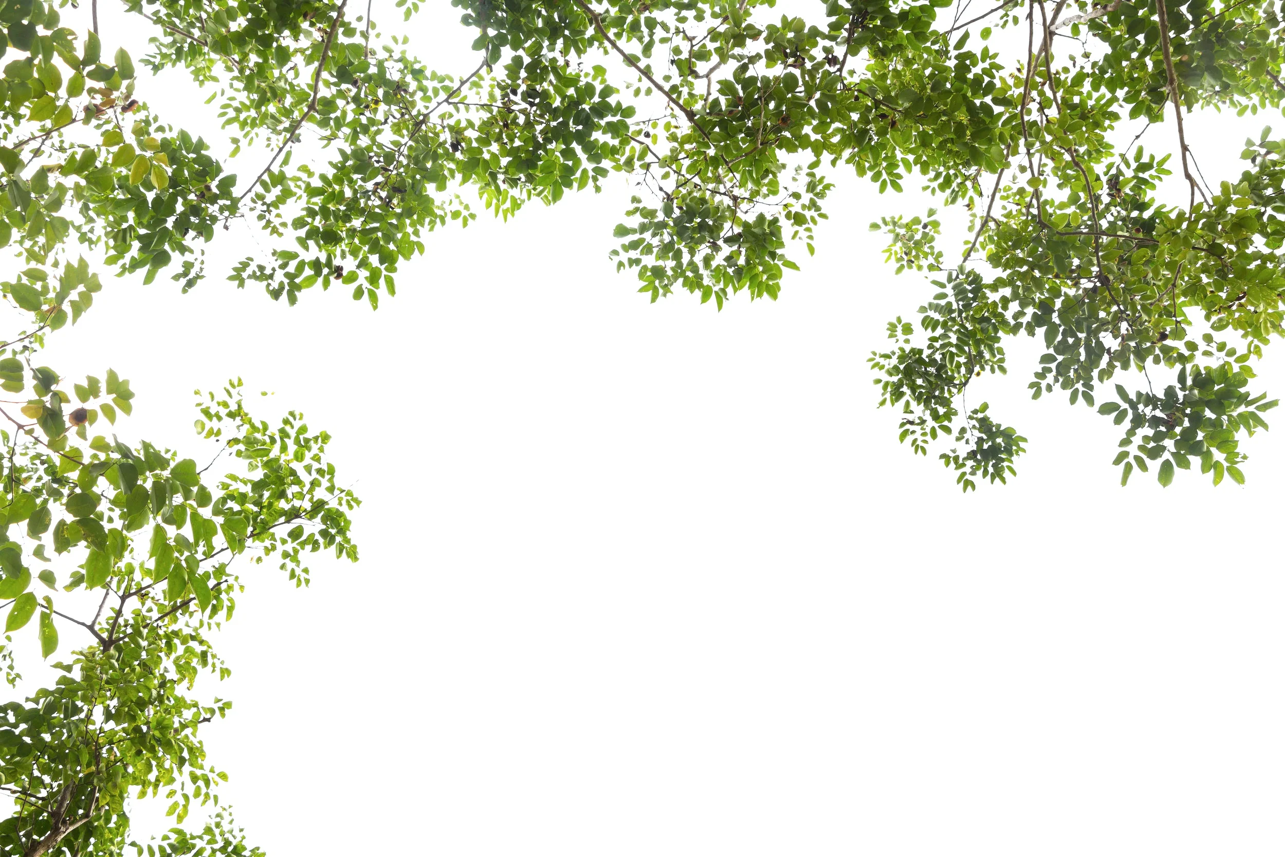 AdobeStock_106756708.jpg