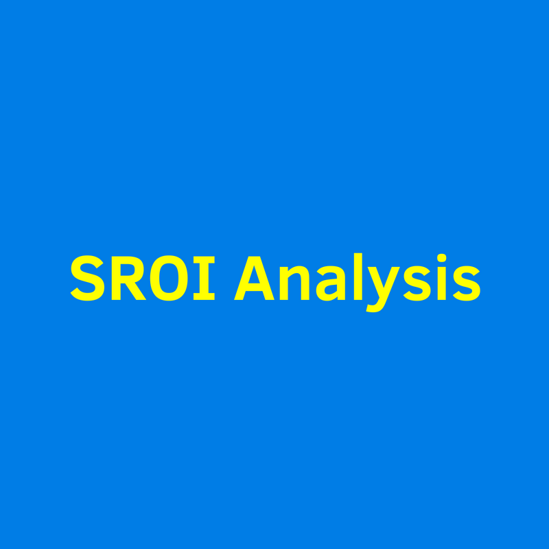 SROI Analysis