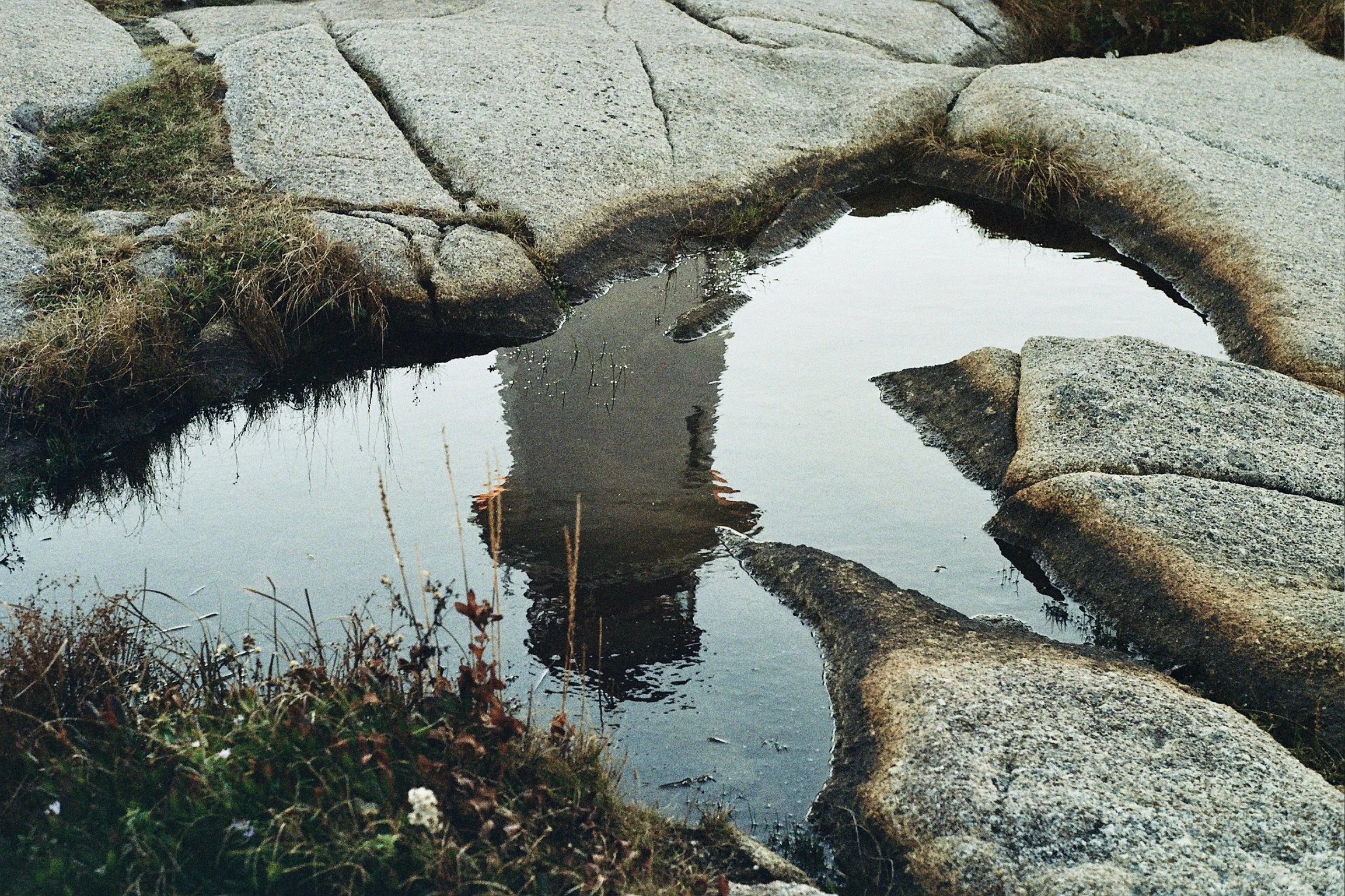 Books &amp; films of 2022: Reflections on the winter solstice