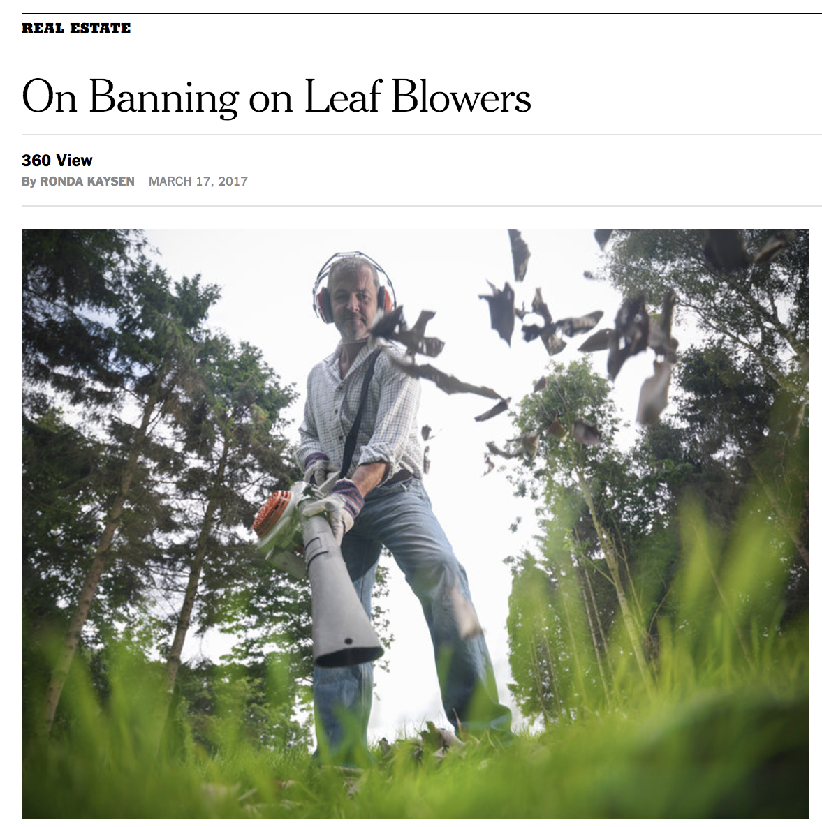 Screenshot of the story in today's NYT.