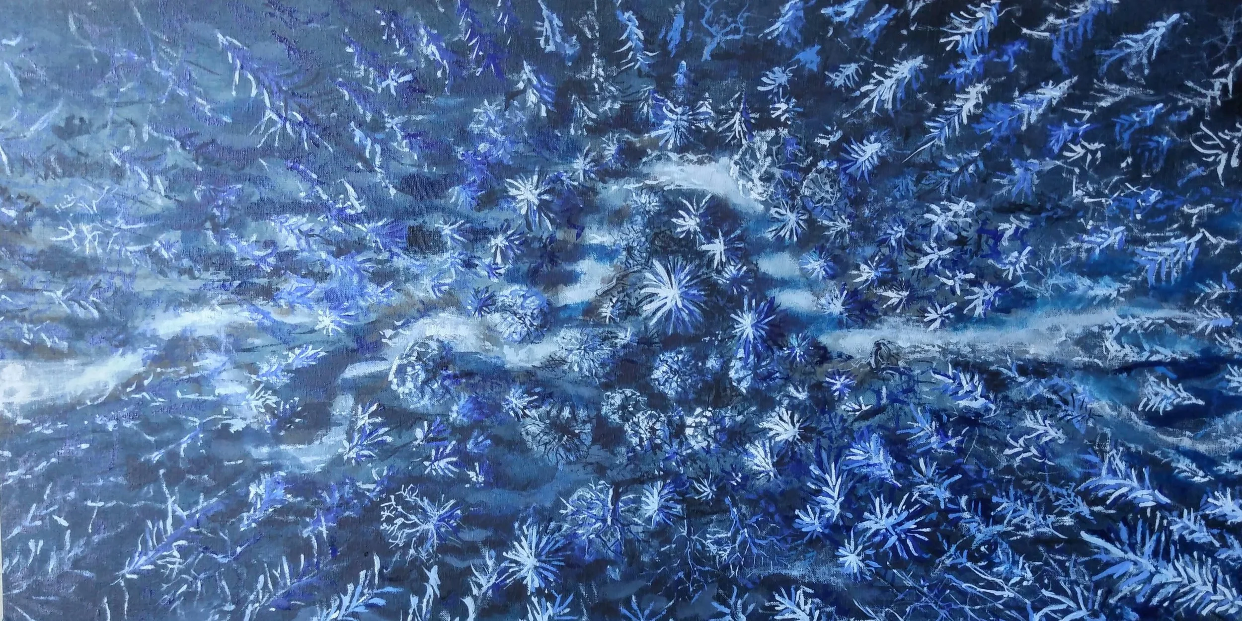 20150819_190027_HDR~2.jpg