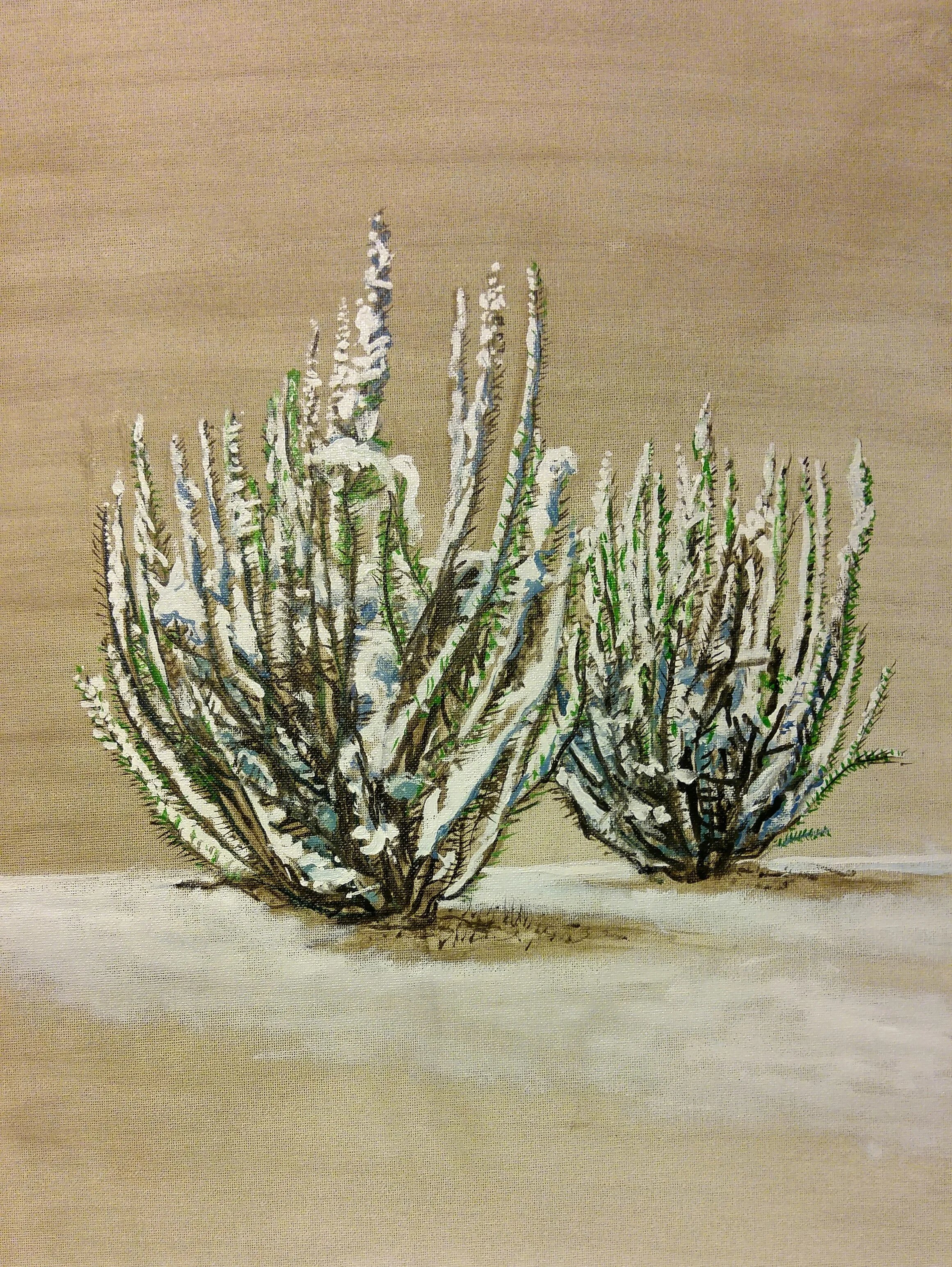 20150824_211205_HDR~2.jpg