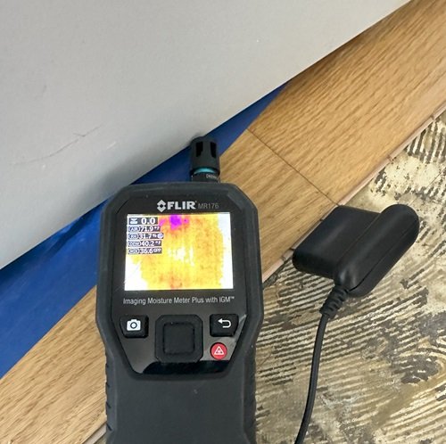 moisture pin detector used in mold inspections.jpg