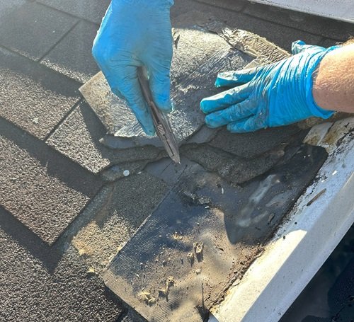 sample collection from asbestos roof_reduced.jpg
