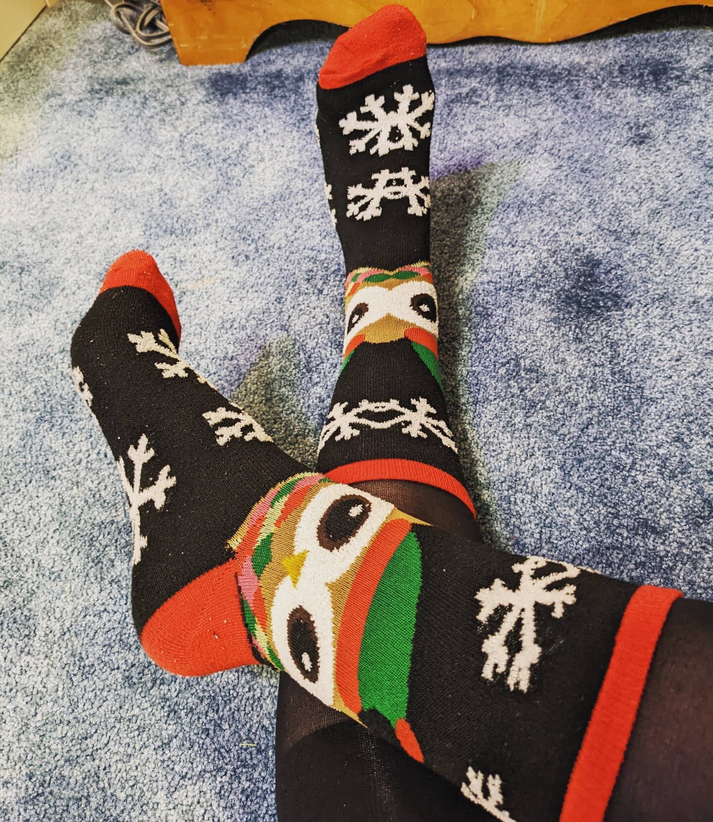 Two concerts in one day calls for Christmas Owl Socks from @szabannatyne !!
❄️🎄🎶🦉❄️
.
#choirlife #holidayconcerts #holidayconcerttime #owls #owlsocks #festivesocks #festiveowls #holidayseason