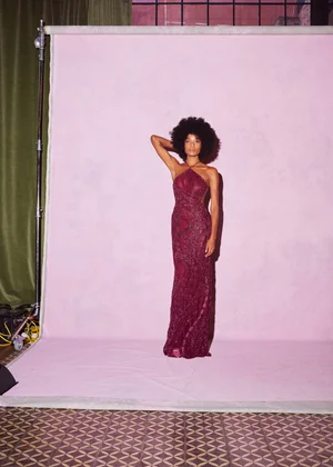 MISSION FIG SERPENTINE LACE DRESS