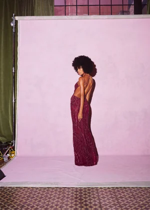 MISSION FIG SERPENTINE LACE DRESS