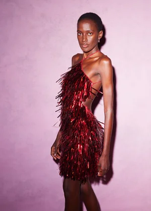 METALLIC PAILLETTES FRINGE DRESS
