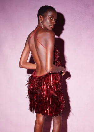 METALLIC PAILLETTES FRINGE DRESS