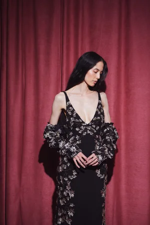 PEARLESCENT DENTELLE CINQ DRESS