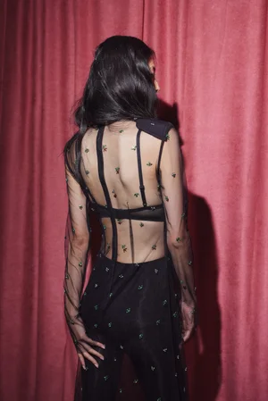 CRYSTAL FLORETS DRESS